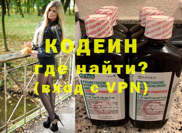 apvp Ельня